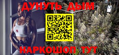 шишки Гагарин