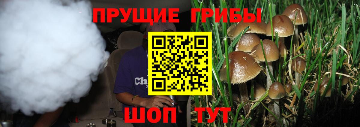 где можно купить   Галлюциногенные грибы MAGIC MUSHROOMS  Вход с VPN  Дивногорск 